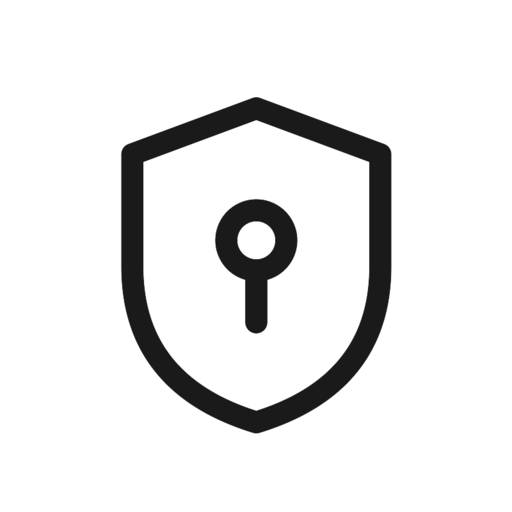 Seguridad Vehicular